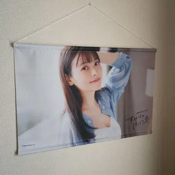 우에사카 스미레 태피스트리