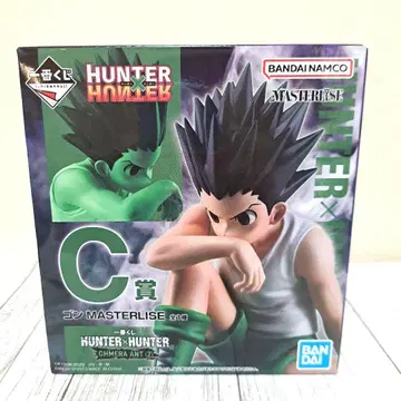 HUNTER x HUNTER C상 곤 MASTERLISE