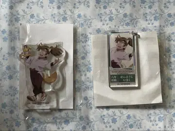 닌타마 란타로 난자타운 참여상 성공상 젠포지 잇사쿠 미니게임