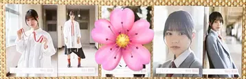 사쿠라자카46 나카가와 치히로 정리