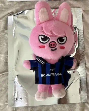 봉제 인형 KARMA 돼끼 창빈 straykids