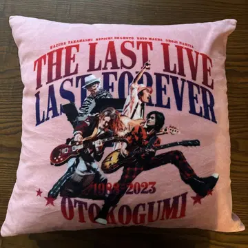 남도호조조 쿠션 커버 THE LAST LIVE