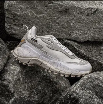 Reebok 100074672 ZIG KINETICA 2.5 EDGE