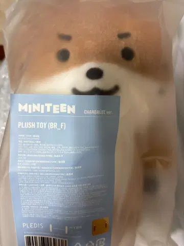 SEVENTEEN miniteen 찬다리 봉제 인형