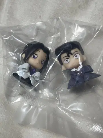 명탐정 코난 유명한(모리 코고로) 우에하라 유이