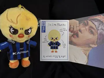 straykids KARMA skzoover. 키링 포가리