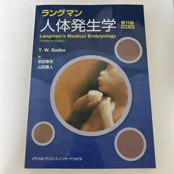 랭그먼 인체 발생학 제11판