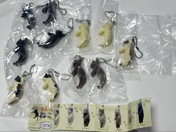 집은 고양이 가챠가챠