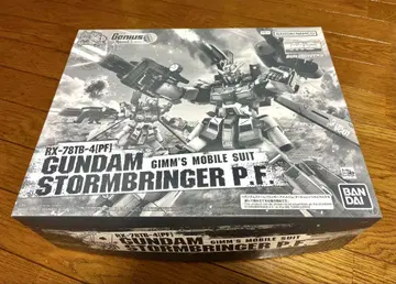 GUNDAM STORMBRINGER P.F. RX-78B-4[P.F]