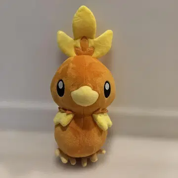 포켓몬 센터 아차모 봉제 인형