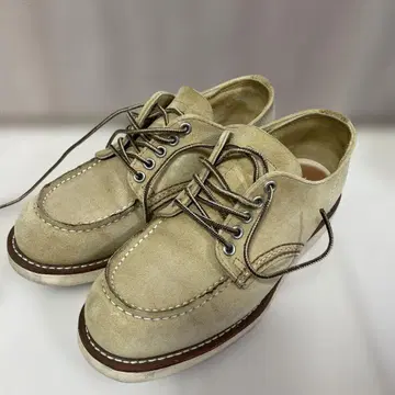 레드윙 8079 중고품 24.5cm D