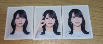 =LOVE 8주년 굿즈 ID PHOTO 스티커 사사키 마이카 컴프