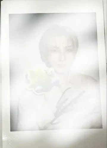 &TEAM YUMA 사인 폴라로이드