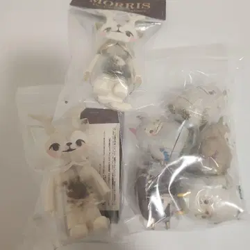 꼬마 고양이 모리스
