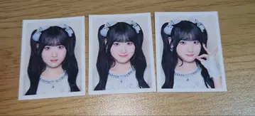 =LOVE 8주년 굿즈 ID PHOTO 스티커 사이토 키아라