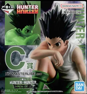 HUNTER x HUNTER 곤 MASTERLISE C상