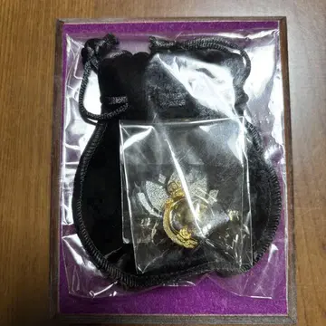 금룡님