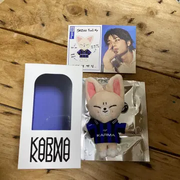 stray kids [ KARMA ] SKZOOver 폭시니
