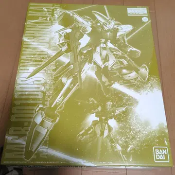 MG MSR-00100S MG 백식 개 1/100