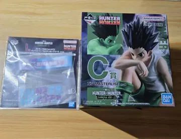 HUNTER x HUNTER 헌터 x 헌터 곤 피규어