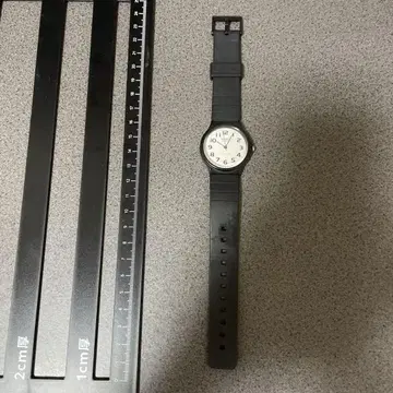 카시오 CASIO MQ-24 심플 아날로그 손목시계 [배터리 방전]