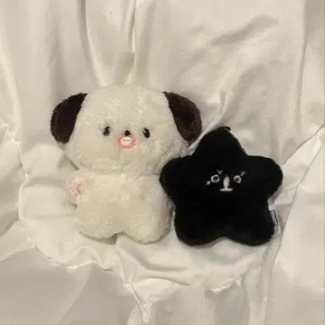 정우 nct127 봉제 인형 불가사리 세트