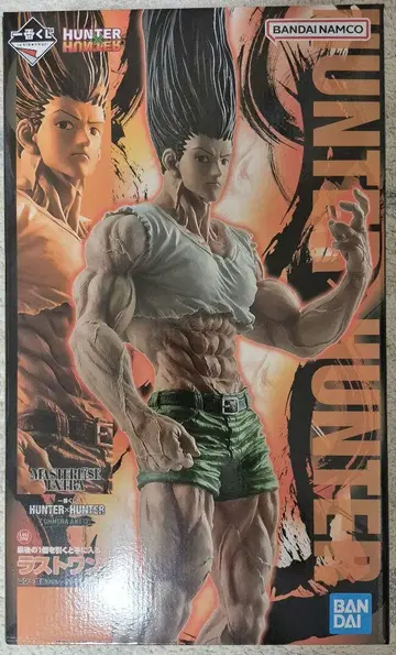 제일복권 HUNTER x HUNTER 키메라 앤트 라스트 원상 곤 성장