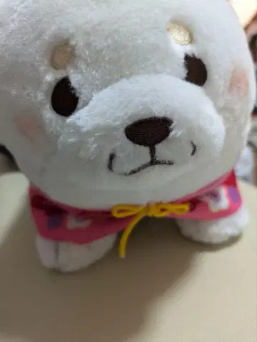 충견 모치시바 축제 유카타 BIG 봉제 인형
