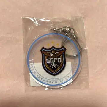 스트그라페스 경찰 SGPD 참