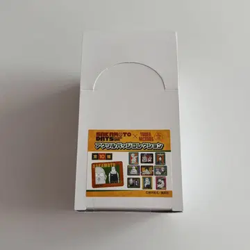 사카모토 데이즈 타워 레코드 원화전 아크릴 배지 컬렉션 BOX