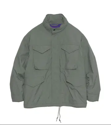 THE NORTH FACE PURPLE LABEL 고어텍스 자켓