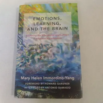 Emotions, Learning, and the Brain