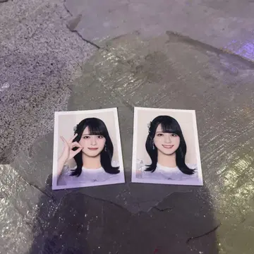 이코럽 사사키 마이카 id 사진