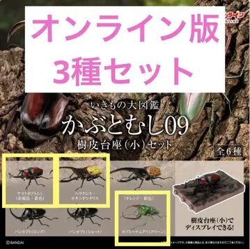 생물대도감 투구벌레 09 (온라인판, 3종 세트)
