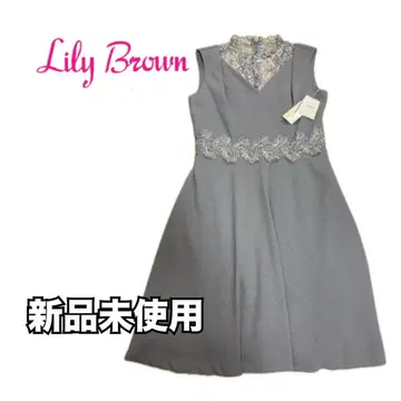 [ 미사용 새상품 택 포함 ] Lily Brown 레이스 콤비 원피스
