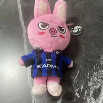 스키즈 skzoo 카르마 키링 창빈