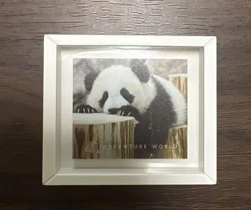 어드벤처 월드 팬더 마그넷