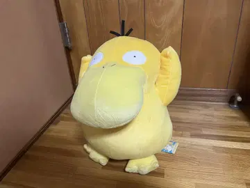 포켓몬 코닥 빅 봉제 인형 미사용 새상품