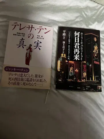 테레사 텡의 진실 히라노 케이이치로