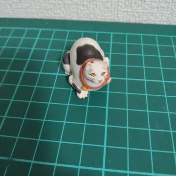 고양이 가챠