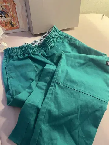 Dickies 카고 팬츠