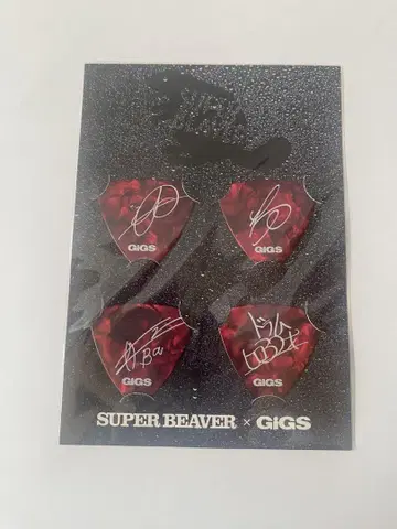 SUPERBEAVER 사인 포함 피크 세트 GIGS