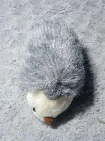 축 늘어지는 푹신한 고슴도치