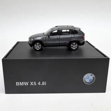 딜러 특주 BMW X5 4.8i 미니카