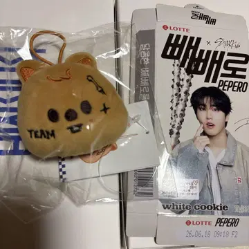 straykids 스키즈 한 popup 팝업 네임택