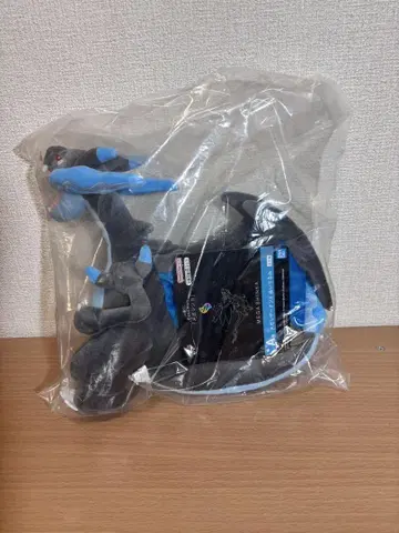 포켓몬 제일복권 메가진화 A상 메가리자몽X