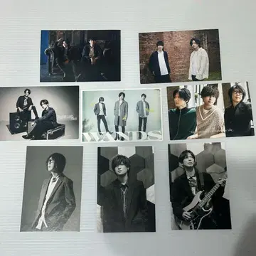 WANDS 제5기 엽서 8장 세트