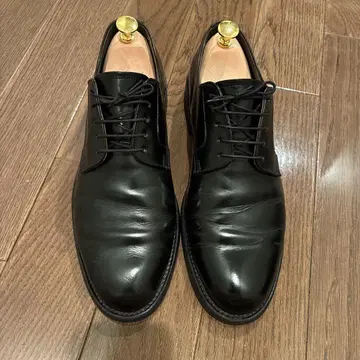 리걸 REGAL 26.5