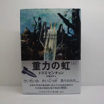 중력의 무지개 상