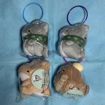 외출 아기상어 해수욕장 친구들 보이스 마스코트 봉제 인형 4종 세트